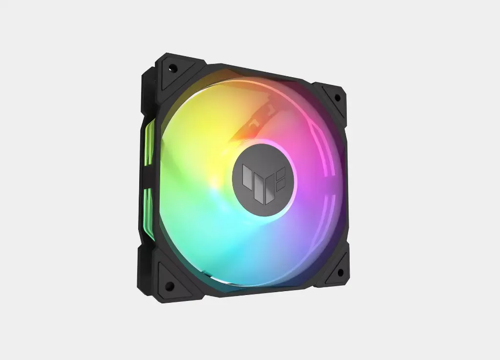 6.webp