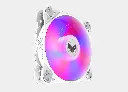 4.webp