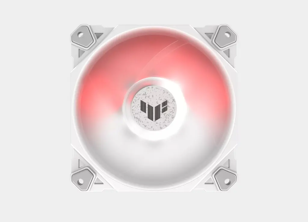 5.webp