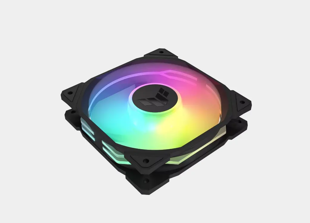 5.webp