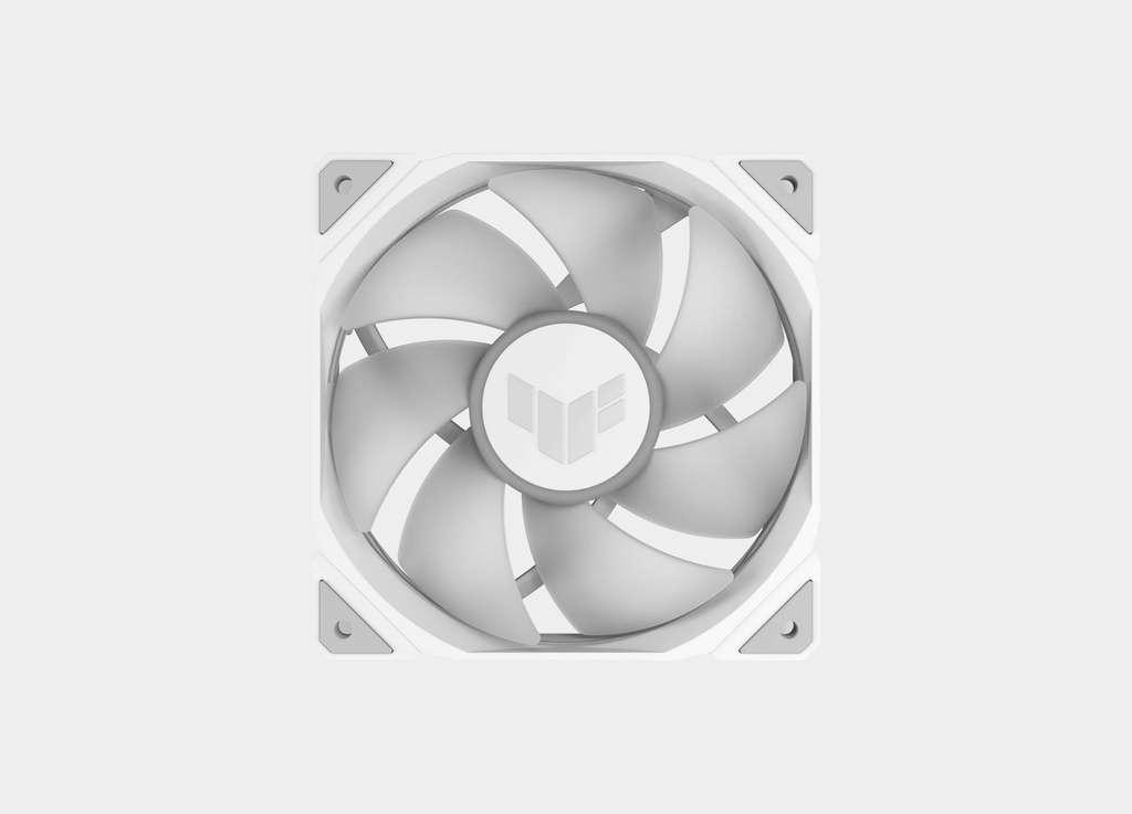 8.webp
