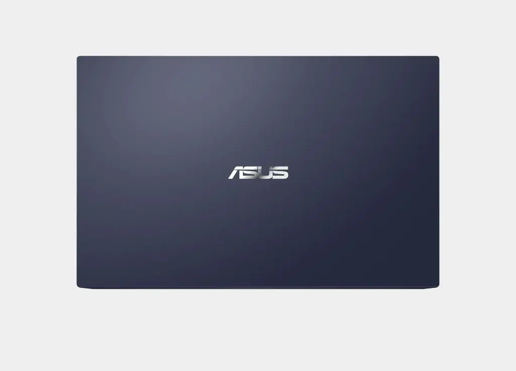7.webp