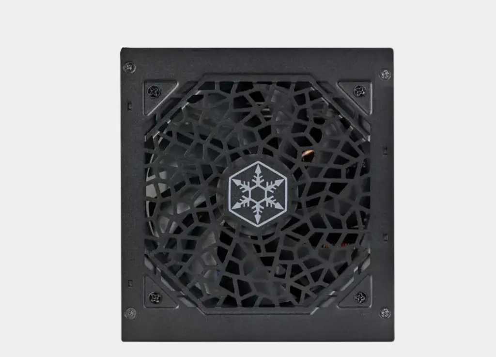 Silverstone Strider ST550-EF (6).webp